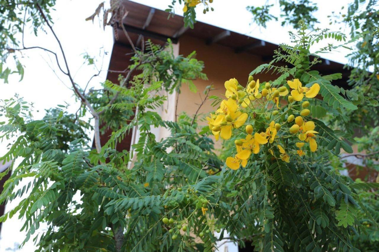 Lolu Village Resort Anuradhapura Exterior photo